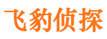 赤城市私人侦探